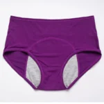 Amazon Clearance Sale🔥🔥-2025 new upgrade high waist leak proof panties
