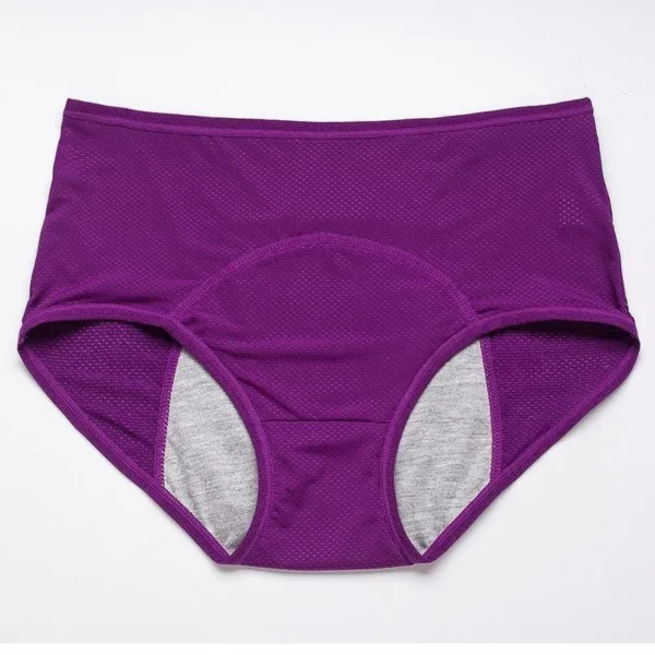 Amazon Clearance Sale🔥🔥-2025 new upgrade high waist leak proof panties
