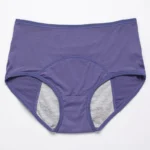 Amazon Clearance Sale🔥🔥-2025 new upgrade high waist leak proof panties