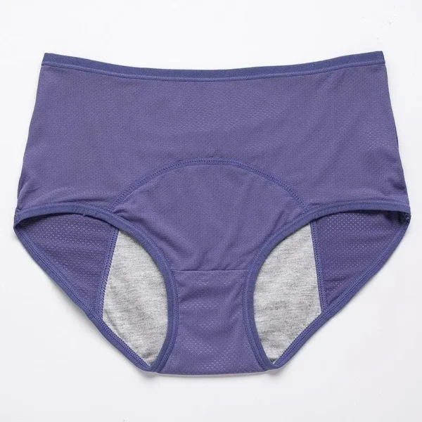 Amazon Clearance Sale🔥🔥-2025 new upgrade high waist leak proof panties