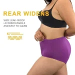 Amazon Clearance Sale🔥🔥-2025 new upgrade high waist leak proof panties