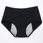 Amazon Clearance Sale🔥🔥-2025 new upgrade high waist leak proof panties