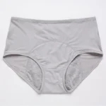 Amazon Clearance Sale🔥🔥-2025 new upgrade high waist leak proof panties